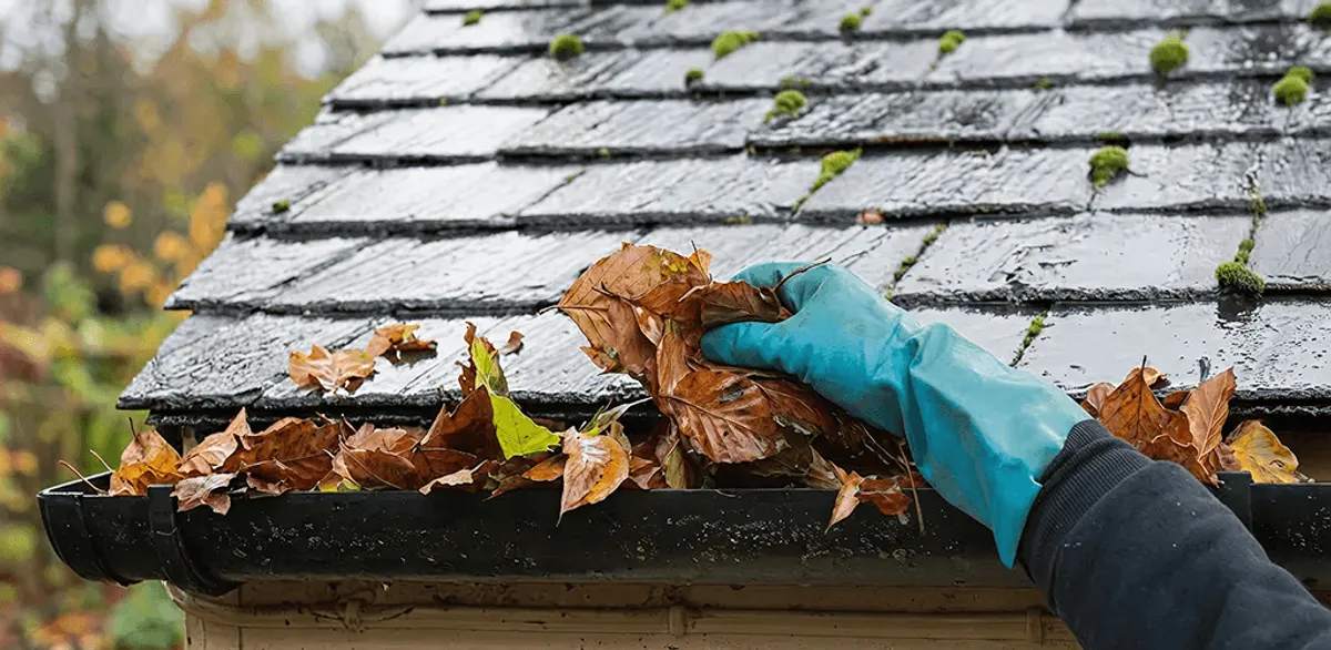 Gutter cleaning technician clearing wet leaves from roof gutters in San Jose, CA
